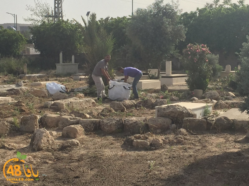 7amla lud maqbara (29).jpg